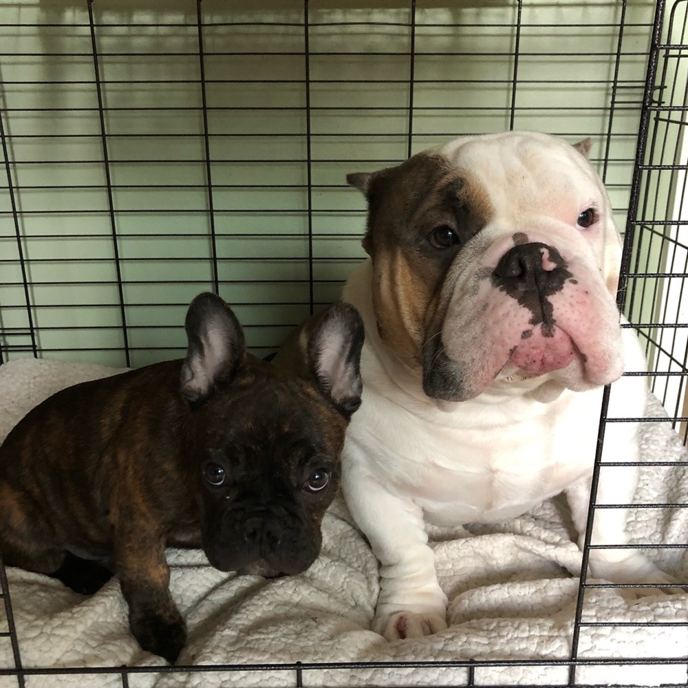 BENTLEY❤️CAPONE Whatcha Gonna Do....